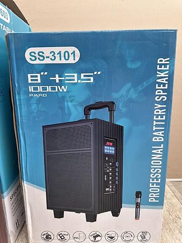 колонка для ноутбука usb: Портативная акустическая система SS-3101 (Professional Battery — 3