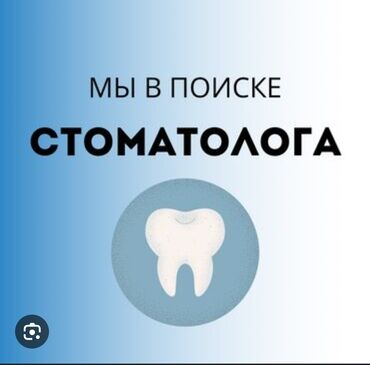 Стоматологи: Стоматолог. Аренда места. Аламедин-1 мкр