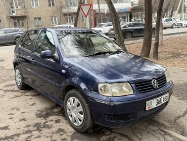 терано 1: Volkswagen Polo: 2001 г., 1.4 л, Автомат, Бензин