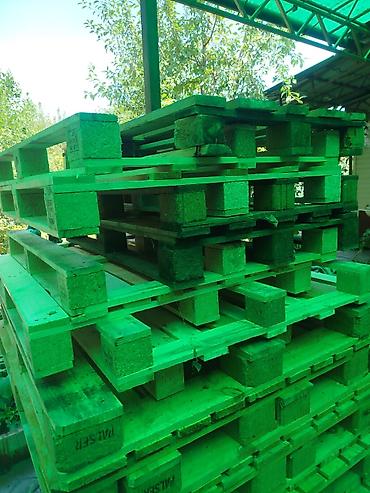 лотки яиц: Продаю поддоны полеты самовывоз — 2