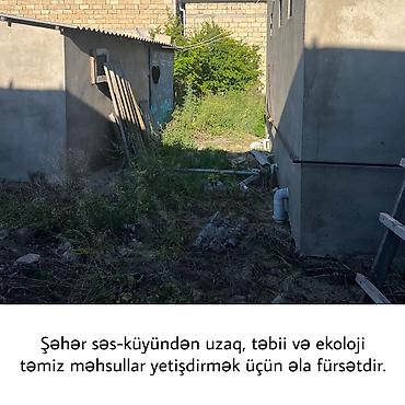 şirvanda satilan torpaqlar: 6 sot, Tikinti, Makler, Kupça (Çıxarış), Bələdiyyə — 9