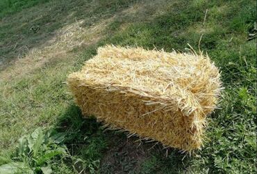 Корма для с/х животных: Продаю пшеничную солому