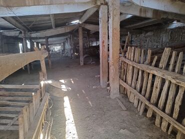 Продажа участков: 15 соток, Красная книга, Договор купли-продажи, Тех паспорт at lalafo.kg — 22 Продажа участков: 15 соток, Красная книга, Договор купли-продажи, Тех паспорт — 22