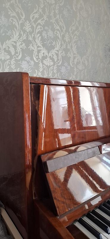 Музыкальные инструменты: Rostov-Don upright piano - Tip: Akustik divar pianinosu (upright) - — 5