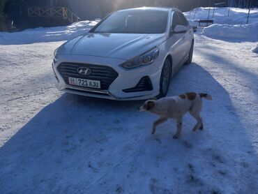 Трансфер, пассажирские перевозки: По региону, Аэропорт, По городу Такси, легковое авто | 4 мест — 31