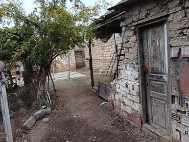 Həyət evləri və villaların satışı: Satılır: Ünvan Salyan Rayon Taleh Davudzade küçəsi Pambıq Zavodu — 5