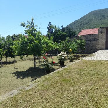 Günlük kirayə evlər: 250 kv. m, 5 otaqlı, Artezian quyusu, Telefon, İnternet -da lalafo.az — 28 Günlük kirayə evlər: 250 kv. m, 5 otaqlı, Artezian quyusu, Telefon, İnternet — 28