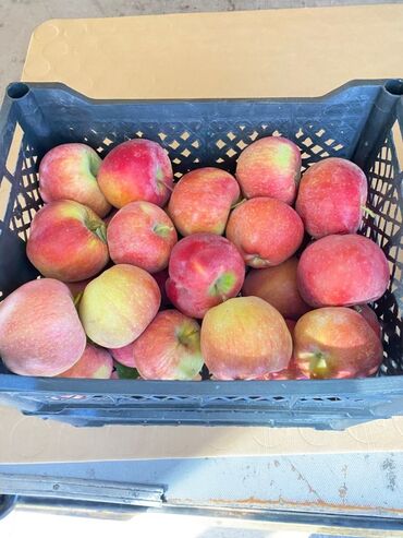 Яблоки: Яблоки Превосходное — 4