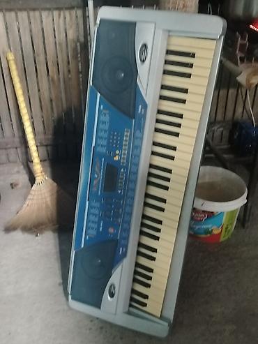 Elektron sintezator/klaviatura - 61 klavişli klaviatura (tam ölçülü)