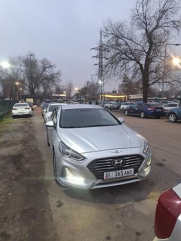 sonata: Hyundai Sonata: 2018 г., Автомат, Газ, Седан — 4