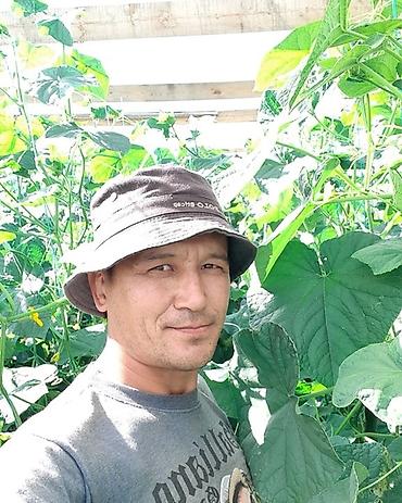 Удобрения и садовая химия: Удобрение Самовывоз — 8