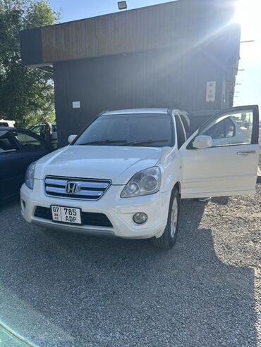 бамперный катафот передний хонда срв 1: Honda CR-V: 2005 г., 2.4 л, Автомат, Бензин, Кроссовер