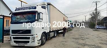 Тягачи: Тягач, Volvo, 2008 г., Тентованный — 1