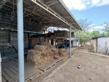 Həyət evləri və villaların satışı: 3 otaqlı, 150 kv. m, Təmirsiz — 4