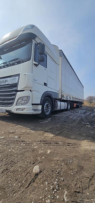 Тягачи: Тягач, DAF, 2019 г., Тентованный — 3