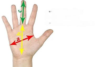 Oprema za bicikliste: FOX MTB/motokros rukavice – crveno/crne - Sportske rukavice za MTB — 10