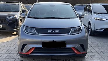 BYD: BYD Dolphin: 2022 г., Электромобиль, Хэтчбэк — 2