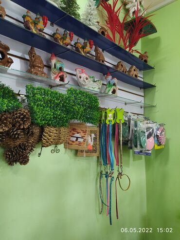 Рыбы: Рыбы — 17