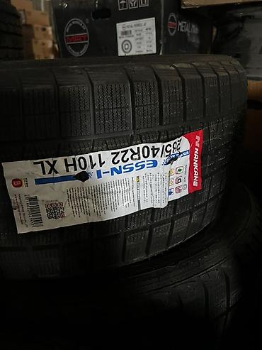 Шины: Зимние шины Nankang ESSN-1 Winter Activa, размер 285/40 R22 110H XL — 1