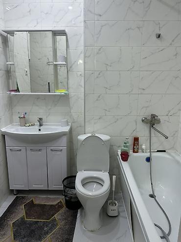2 комнаты, Бишкек Парк ТРЦ Собственник, С подселением, С мебелью полностью