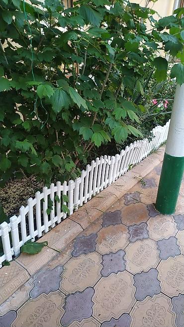 güllər: Güllərin qiraqi üçün çəpər paçkada 2.50sm olur türkiyə istehsalidi — 3