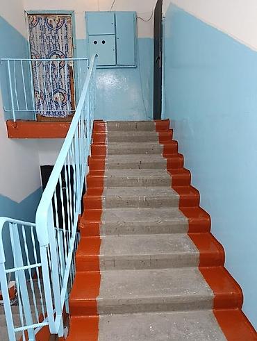 обои ремонт дома: Покраска стен, На водной основе, На масляной основе, Больше 6 лет опыта — 2