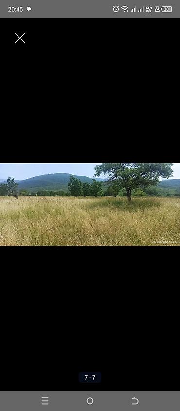 Torpaq sahələrinin satışı: Kənd təsərrüfatı — 1