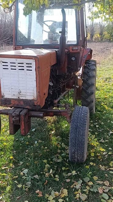сайт продажи авто в монголии: Т 16 косилкасы бар. Т 25 соко,косилка,чизель, ботва рез,мала сы менен — 4