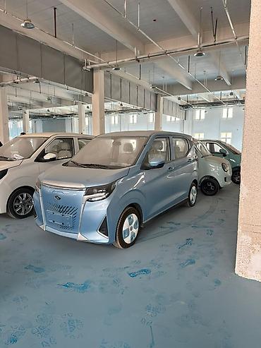 Microcar: Microcar : 2026 г., Электромобиль, Минивэн — 13