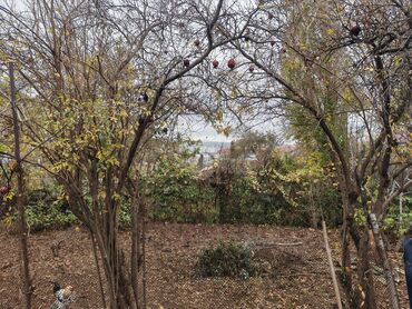 Torpaq sahələrinin satışı: 4 sot, Mülkiyyətçi — 8