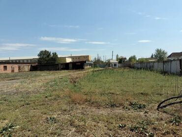 Torpaq sahələrinin satışı: Təcili. 1 hektar ərazisi olan kupçalı, dəyərindən qat-qat ucuz — 9