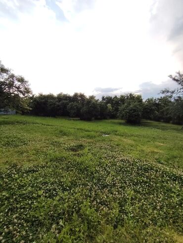 Bağ evlərinin satışı: Zaqatala, 110 kv. m, 4 otaqlı, Hovuzsuz, Artezian quyusu -da lalafo.az — 19 Bağ evlərinin satışı: Zaqatala, 110 kv. m, 4 otaqlı, Hovuzsuz, Artezian quyusu — 19