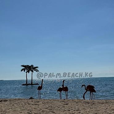 отдых в palm beach: Аренда квартиры на Иссык-Куле, Palm Beach, Чок-Тал, 6 мест, Цена Целиком за жилье — 9