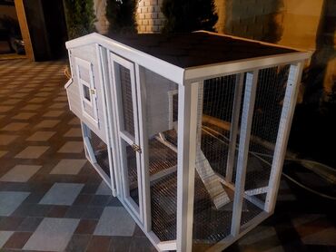 Yuvalar: İt yuvası, pişik yuvası və digər heyvanlar üçün yuva sifarişləri qəbul — 4