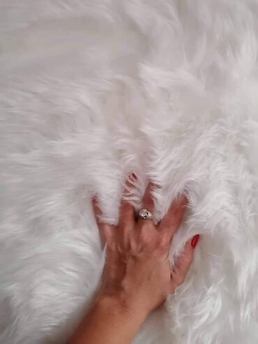 Tepisi i prostirke: Tepih — 8