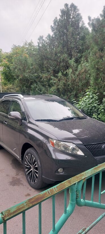 lexus rx 2011: Lexus RX: 2010 г., 3.5 л, Автомат, Бензин, Кроссовер