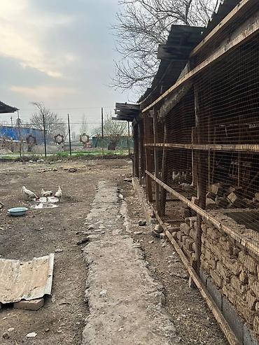 Продажа коттеджей и домов: ПРОДАЁТСЯ ДОМ вместе с отдельным участком участком, (10 сотых) в — 7