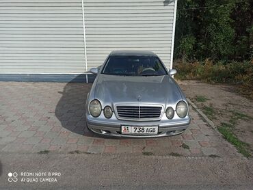 купить индюшат цена бишкеке: Mercedes-Benz CLK-Class: 1998 г., 3.2 л, Автомат, Бензин, Купе