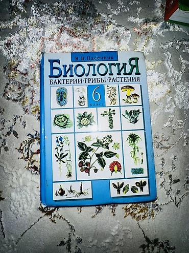 Иностранные языки: Школьные учебники (набор):📚 1) English. Student’s Book, VI - Авторы — 13
