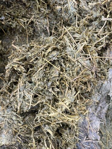 домик для кошки многоуровневый: В продаже сенаж только открыли яму чистый клевер. Город Кант. Сенаж из