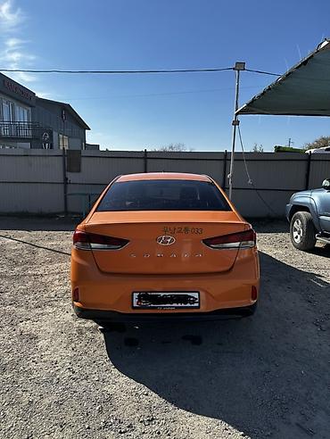 соната оранжевый: Hyundai Sonata: 2018 г., 2 л, Автомат, Газ, Седан — 2