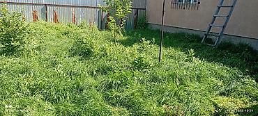 продаю дорожки: Уборка территории — 6