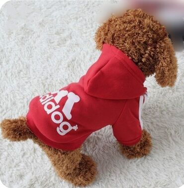 японская порода собак акита: Комбез для маленьких пород собак