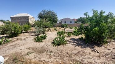 Torpaq sahələrinin satışı: 12 sot, Tikinti, Maklerlər narahat etməsin, Kupça (Çıxarış) — 6