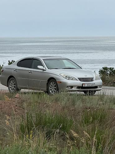 масл кар: Lexus ES: 2002 г., 3 л, Автомат, Бензин, Седан — 2