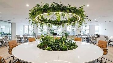 zeleniy cay: Green House Azerbaijan. Dekor interyer Kafe×restoranlar üçün — 2