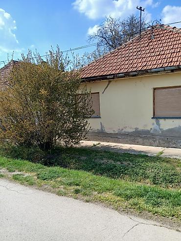 prodaja kuca vrbas: Kuca na prodaju. Kikinda ul Danila Kosica 22 — 1