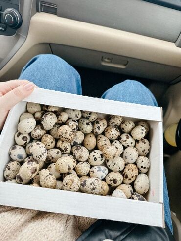 кассовый стол для магазина купить: Перепелиные яйца - Натуральные, пятнистые яйца мелкого размера. -