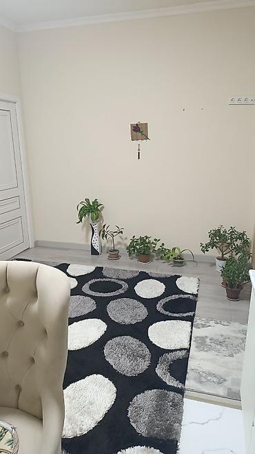 чон: 1 бөлмө, 50 м², Азия Молл Элитка, 2 кабат — 1
