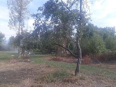 Torpaq sahələrinin satışı: 40 sot, Tikinti, Mülkiyyətçi, Kupça (Çıxarış) — 10